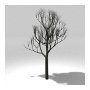 Tree 4