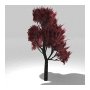 Tree 5