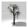Tree 8